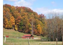 Fall Colors on a motorcycle tour in North Carolina